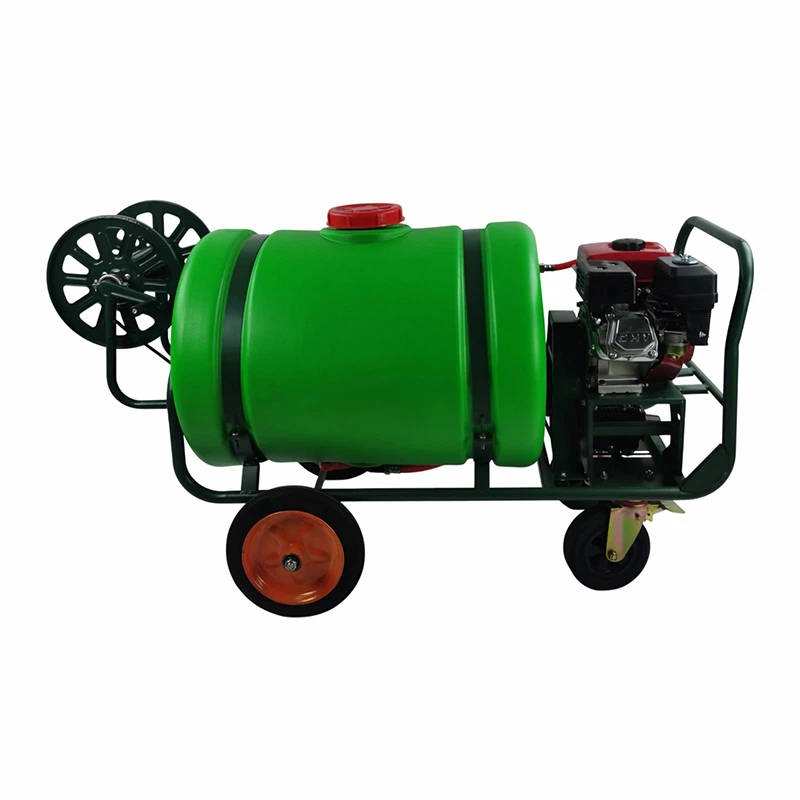 product-800-800 product-800-800